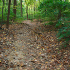 the path to the site